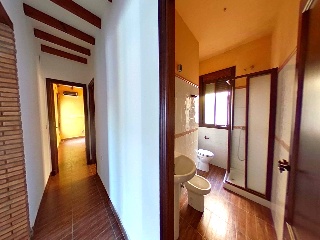Pinar El 36