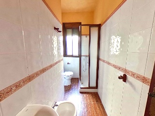 Pinar El 37
