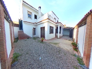 Pinar El 50