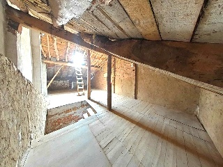 Escudero 13
