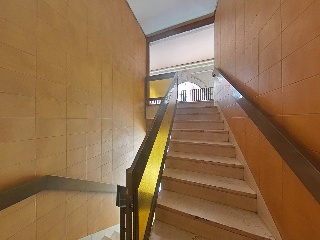 Campanas 26