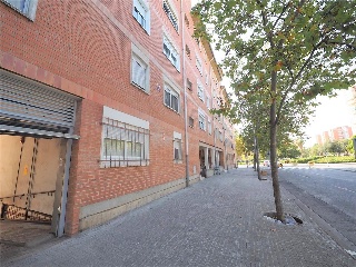 Consell De Cent,Del 8