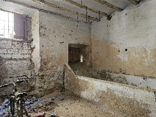 Mayor 5
