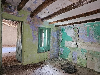 Mayor 11