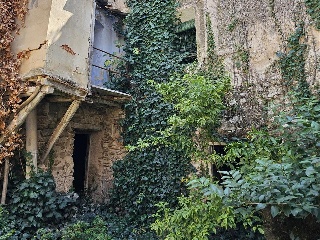 Mayor 18