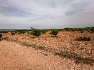 De Pinarejo 2