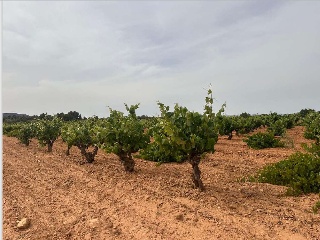 De Pinarejo 9