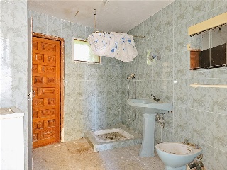 Mayor 11