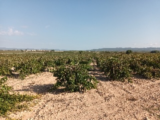 Partida Vallejo De Taravilla 2