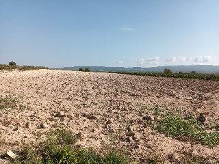 Partida Vallejo De Taravilla 4