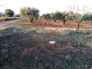 Partida Vallejo De Taravilla 6