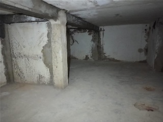 Bosc Del Quec 6