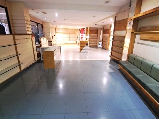 Constitucion 11