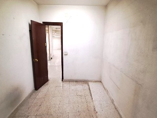 Constitucion 24