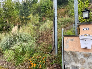 Coll Formic 4