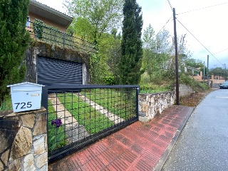 Coll Formic 6