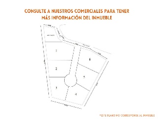 Proc. Simplificado 15
