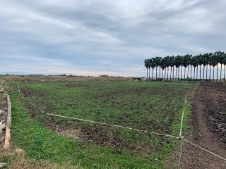 Otros en venta en Almenara