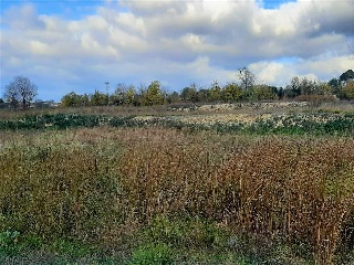 De La Font 2