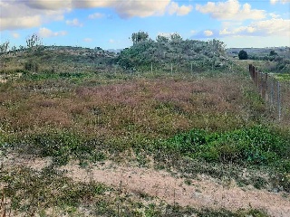 De La Font 3