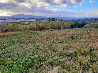De La Font 4