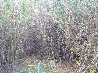 De La Font 8