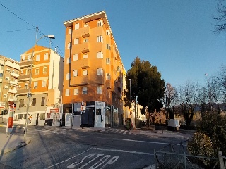 Rey Don Jaime I 13