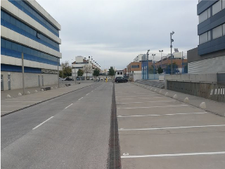 Pino Estrobo 3