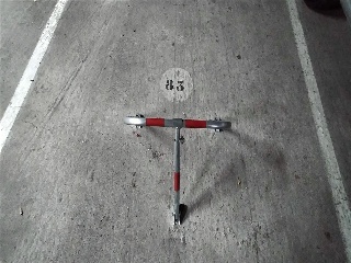 Ample 6