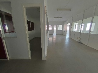 Tejera 5