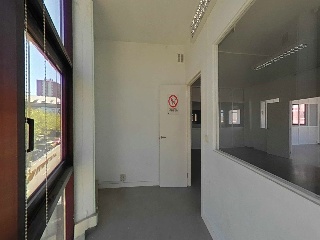 Tejera 19