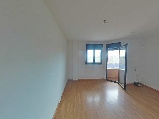 Ayora 2