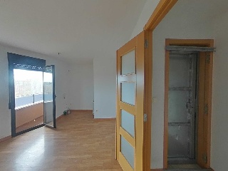Ayora 4
