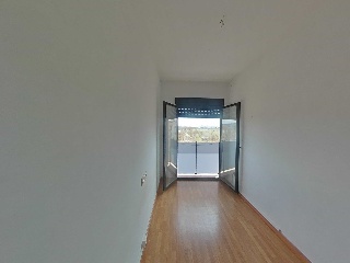 Ayora 7
