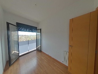 Ayora 8