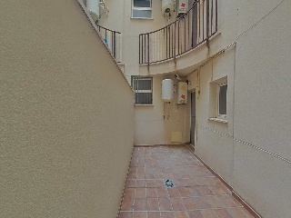 Ayora 18