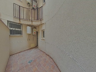 Ayora 19