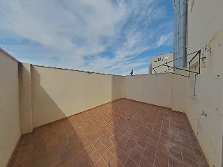 Ayora 22