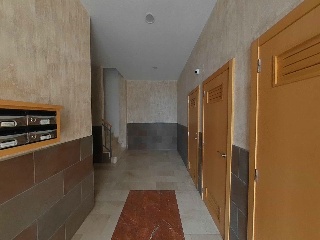 Ayora 23