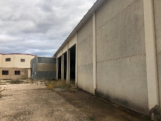 Zaragoza 12