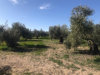 Pisos banco Antequera