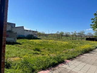 Burgos 4