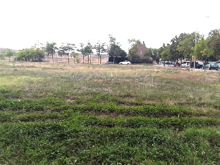 Burgos 8