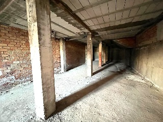 Colon 5