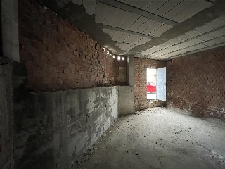 Colon 7