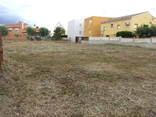Catalans Urb 2