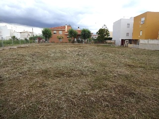 Catalans Urb 6