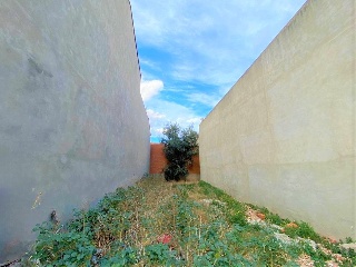 Reis Catòlics 3