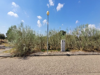 Concejo De La Mesta 2