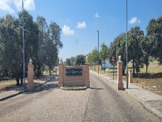 Concejo De La Mesta 3